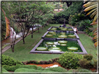 foto Parco botanico Terra Nostra